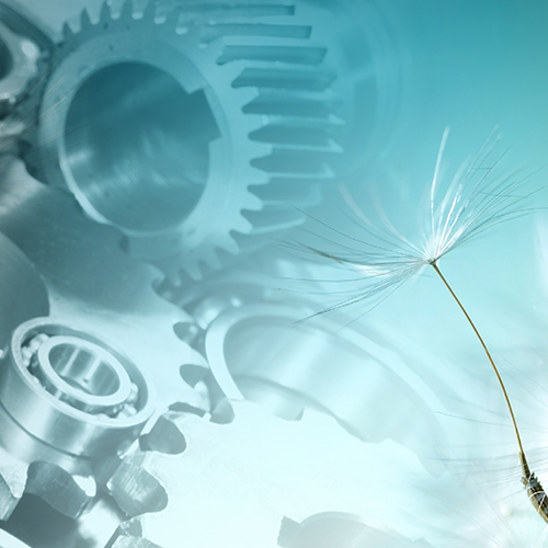 2020 | Frühjahrsputz